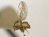  ( - CCDB-21422-D12)  @11 [ ] CreativeCommons - Attribution (2014) CBG Photography Group Centre for Biodiversity Genomics