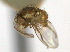  ( - CCDB-21422-E04)  @11 [ ] CreativeCommons - Attribution (2014) CBG Photography Group Centre for Biodiversity Genomics