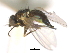  ( - CCDB-21422-H03)  @11 [ ] CreativeCommons - Attribution (2014) CBG Photography Group Centre for Biodiversity Genomics