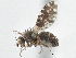  ( - CCDB-21401-A01)  @11 [ ] CreativeCommons - Attribution (2014) CBG Photography Group Centre for Biodiversity Genomics