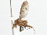  ( - CCDB-21401-A08)  @13 [ ] CreativeCommons - Attribution (2014) CBG Photography Group Centre for Biodiversity Genomics