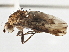  ( - CCDB-21401-A10)  @13 [ ] CreativeCommons - Attribution (2014) CBG Photography Group Centre for Biodiversity Genomics