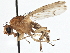  ( - CCDB-21401-C07)  @14 [ ] CreativeCommons - Attribution (2014) CBG Photography Group Centre for Biodiversity Genomics