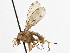  ( - CCDB-21401-C08)  @15 [ ] CreativeCommons - Attribution (2014) CBG Photography Group Centre for Biodiversity Genomics
