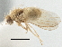  ( - CCDB-21401-E04)  @11 [ ] CreativeCommons - Attribution (2014) CBG Photography Group Centre for Biodiversity Genomics
