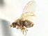  ( - CCDB-21401-E05)  @11 [ ] CreativeCommons - Attribution (2014) CBG Photography Group Centre for Biodiversity Genomics