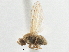  ( - CCDB-21401-E06)  @11 [ ] CreativeCommons - Attribution (2014) CBG Photography Group Centre for Biodiversity Genomics
