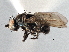  ( - CCDB-21402-B02)  @14 [ ] CreativeCommons - Attribution (2014) CBG Photography Group Centre for Biodiversity Genomics