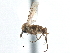  ( - CCDB-21402-G03)  @13 [ ] CreativeCommons - Attribution (2014) CBG Photography Group Centre for Biodiversity Genomics