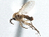  ( - CCDB-21402-G04)  @14 [ ] CreativeCommons - Attribution (2014) CBG Photography Group Centre for Biodiversity Genomics