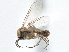  ( - CCDB-21402-G05)  @13 [ ] CreativeCommons - Attribution (2014) CBG Photography Group Centre for Biodiversity Genomics