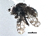  ( - CCDB-21410-A05)  @13 [ ] CreativeCommons - Attribution (2014) CBG Photography Group Centre for Biodiversity Genomics