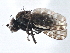  ( - CCDB-21410-A06)  @11 [ ] CreativeCommons - Attribution (2014) CBG Photography Group Centre for Biodiversity Genomics