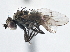  ( - CCDB-21410-B12)  @15 [ ] CreativeCommons - Attribution (2014) CBG Photography Group Centre for Biodiversity Genomics