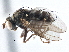  ( - CCDB-21410-C05)  @11 [ ] CreativeCommons - Attribution (2014) CBG Photography Group Centre for Biodiversity Genomics
