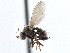  ( - CCDB-21410-C07)  @11 [ ] CreativeCommons - Attribution (2014) CBG Photography Group Centre for Biodiversity Genomics