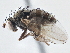  ( - CCDB-21410-C08)  @11 [ ] CreativeCommons - Attribution (2014) CBG Photography Group Centre for Biodiversity Genomics