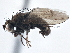  ( - CCDB-21410-D12)  @15 [ ] CreativeCommons - Attribution (2014) CBG Photography Group Centre for Biodiversity Genomics