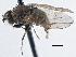  ( - CCDB-21410-E01)  @12 [ ] CreativeCommons - Attribution (2014) CBG Photography Group Centre for Biodiversity Genomics