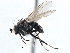  ( - CCDB-21410-E08)  @11 [ ] CreativeCommons - Attribution (2014) CBG Photography Group Centre for Biodiversity Genomics