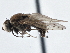  ( - CCDB-21410-F01)  @11 [ ] CreativeCommons - Attribution (2014) CBG Photography Group Centre for Biodiversity Genomics