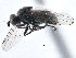  ( - CCDB-21410-H08)  @11 [ ] CreativeCommons - Attribution (2014) CBG Photography Group Centre for Biodiversity Genomics