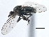  ( - CCDB-21410-H09)  @11 [ ] CreativeCommons - Attribution (2014) CBG Photography Group Centre for Biodiversity Genomics