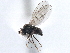  ( - CCDB-21410-H10)  @14 [ ] CreativeCommons - Attribution (2014) CBG Photography Group Centre for Biodiversity Genomics