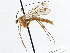  ( - CCDB-21411-B04)  @14 [ ] CreativeCommons - Attribution (2014) CBG Photography Group Centre for Biodiversity Genomics