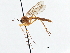  ( - CCDB-21411-B05)  @14 [ ] CreativeCommons - Attribution (2014) CBG Photography Group Centre for Biodiversity Genomics