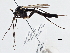  ( - CCDB-21411-C02)  @13 [ ] CreativeCommons - Attribution (2014) CBG Photography Group Centre for Biodiversity Genomics