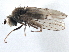  ( - CCDB-21411-C12)  @13 [ ] CreativeCommons - Attribution (2014) CBG Photography Group Centre for Biodiversity Genomics