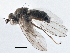  ( - CCDB-21411-D02)  @14 [ ] CreativeCommons - Attribution (2014) CBG Photography Group Centre for Biodiversity Genomics