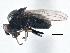  ( - CCDB-21411-D05)  @11 [ ] CreativeCommons - Attribution (2014) CBG Photography Group Centre for Biodiversity Genomics