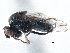  ( - CCDB-21411-D07)  @11 [ ] CreativeCommons - Attribution (2014) CBG Photography Group Centre for Biodiversity Genomics