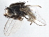  ( - CCDB-21411-D08)  @11 [ ] CreativeCommons - Attribution (2014) CBG Photography Group Centre for Biodiversity Genomics