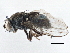  ( - CCDB-21411-D11)  @11 [ ] CreativeCommons - Attribution (2014) CBG Photography Group Centre for Biodiversity Genomics