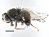  ( - CCDB-21411-D12)  @11 [ ] CreativeCommons - Attribution (2014) CBG Photography Group Centre for Biodiversity Genomics