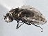  ( - CCDB-21411-E08)  @11 [ ] CreativeCommons - Attribution (2014) CBG Photography Group Centre for Biodiversity Genomics
