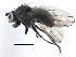  ( - CCDB-21411-E09)  @11 [ ] CreativeCommons - Attribution (2014) CBG Photography Group Centre for Biodiversity Genomics