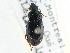  ( - CCDB-21413-E04)  @11 [ ] CreativeCommons - Attribution (2014) CBG Photography Group Centre for Biodiversity Genomics