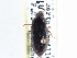  ( - CCDB-21413-E06)  @13 [ ] CreativeCommons - Attribution (2014) CBG Photography Group Centre for Biodiversity Genomics