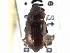  ( - CCDB-21417-G05)  @11 [ ] CreativeCommons - Attribution (2014) CBG Photography Group Centre for Biodiversity Genomics