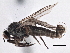  ( - CCDB-21421-B11)  @14 [ ] CreativeCommons - Attribution (2014) CBG Photography Group Centre for Biodiversity Genomics