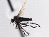  ( - CCDB-21421-C09)  @13 [ ] CreativeCommons - Attribution (2014) CBG Photography Group Centre for Biodiversity Genomics