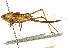  ( - CCDB-23290-B08)  @11 [ ] CreativeCommons - Attribution (2015) CBG Photography Group Centre for Biodiversity Genomics