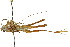  ( - CCDB-23290-B09)  @11 [ ] CreativeCommons - Attribution (2015) CBG Photography Group Centre for Biodiversity Genomics