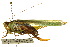  ( - CCDB-23290-E04)  @14 [ ] CreativeCommons - Attribution (2015) CBG Photography Group Centre for Biodiversity Genomics