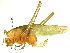  ( - CCDB-23290-H07)  @11 [ ] CreativeCommons - Attribution (2015) CBG Photography Group Centre for Biodiversity Genomics