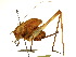  ( - CCDB-23290-H10)  @13 [ ] CreativeCommons - Attribution (2015) CBG Photography Group Centre for Biodiversity Genomics